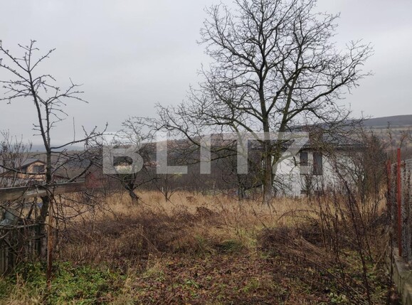 Casa de vânzare 3 camere Coruşu - 132735CV | BLITZ Cluj-Napoca | Poza5