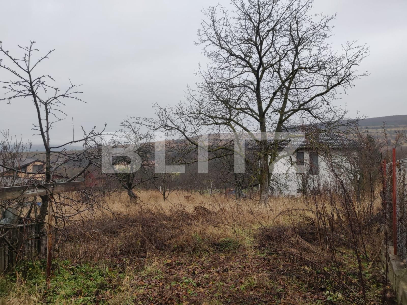 Casa de vânzare 3 camere Coruşu - 132735CV | BLITZ Cluj-Napoca | Poza5