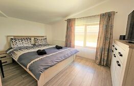 Apartament 10 camere, 200mp, etaj intermediar, colonia Borhanci