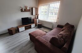 Apartament 2 camere, mobilat, utilat, 48mp, zona Terra