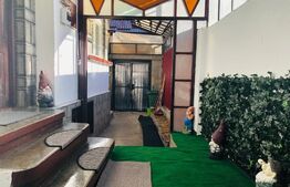 De vanzare, casa in Schei