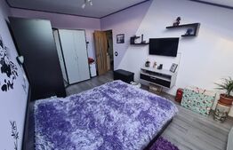 Apartament 2 camere, 54mp, mobilat, utilat, pod 30 mp amenajat, zona Terra 