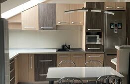 Apartament 2 camere, 54mp, mobilat, utilat, pod 30 mp amenajat, zona Terra 