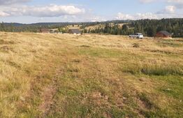 Teren, 1000 mp, intravilan, zona Beliș 