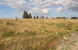 Teren, 1000 mp, intravilan, zona Beliș 