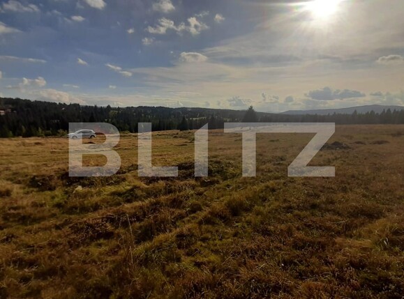 Teren de vânzare Beliș - 132980TV | BLITZ Cluj-Napoca | Poza3