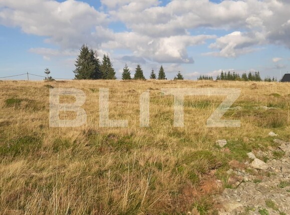 Teren de vânzare Beliș - 132980TV | BLITZ Cluj-Napoca | Poza1