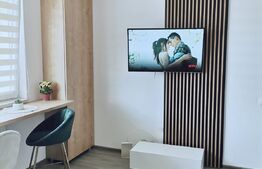 Apartament 2 camere, mobilat modern, Ansamblul Iris 