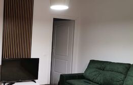 Apartament 2 camere, mobilat modern, Ansamblul Iris 