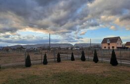 Casa individuala, 4 camere, 110 mp utili, 800 mp teren, Mihai Viteazu