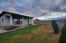 Casa individuala, 4 camere, 110 mp utili, 800 mp teren, Mihai Viteazu