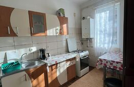 Apartament 1 camera, 38 mp, zona Porii