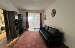 Apartament 1 camera, 38 mp, zona Porii