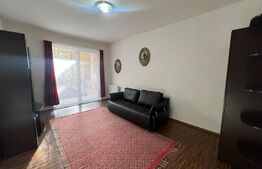 Apartament 1 camera, 38 mp, zona Porii