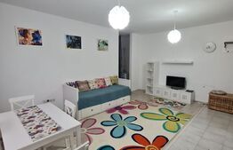 Apartament 2 camere, 46mp, semidecomandat, mobilat si utilat, etaj intermediar, zona Terra