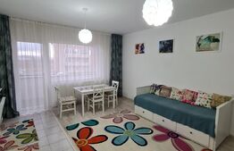 Apartament 2 camere, 46mp, semidecomandat, mobilat si utilat, etaj intermediar, zona Terra