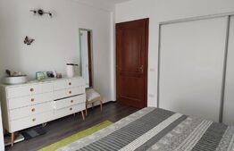 Casa individuala la cheie, Salicea