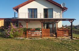 Casa individuala la cheie, Salicea