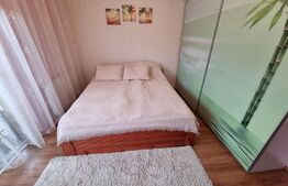 Apartament 2 camere, etaj intermediar, 53mp, parcare, zona strazii Muzeul Apei