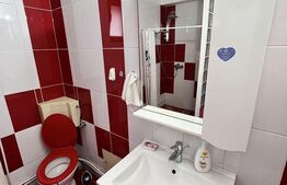 Apartament 1 camera, 70mp, zona Campului , Manastur