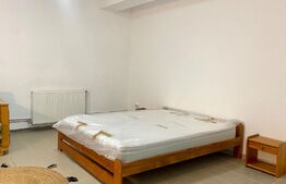 Apartament 1 camera, 70mp, zona Campului , Manastur