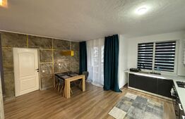 Apartament 2 camere, 56mp, 2 bai, etaj intermediar, parcare, zona Abatorului