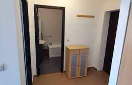 Apartament 2 camere, 40mp, zona FSEGA