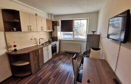 Apartament 2 camere, 40mp, zona FSEGA