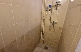 Garsoniera zona Gemenii , luminoasa si cocheta