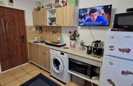 Garsoniera zona Gemenii , luminoasa si cocheta