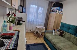 Garsoniera zona Gemenii , luminoasa si cocheta