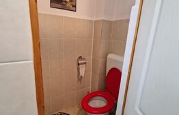 Garsoniera zona Gemenii , luminoasa si cocheta