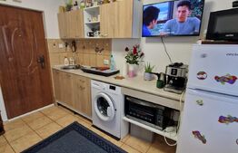 Garsoniera zona Gemenii , luminoasa si cocheta