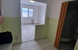 Garsoniera 22 mp, zona Uzina 2- view deosebit- intabulat