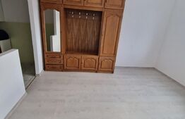 Garsoniera 22 mp, zona Uzina 2- view deosebit- intabulat