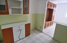 Garsoniera 22 mp, zona Uzina 2- view deosebit- intabulat