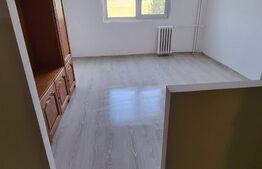 Garsoniera 22 mp, zona Uzina 2- view deosebit- intabulat