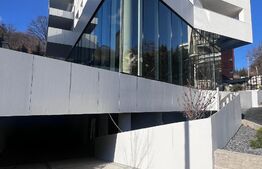 Spatiu unicat cu destinatii multiple, 230mp, Gligoresti