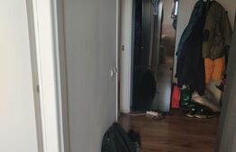 Apartament cu 1 camera, 38mp, etaj intermediar, orientare sud-vest, zona Dambovitei