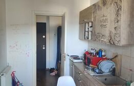 Apartament cu 1 camera, 38mp, etaj intermediar, orientare sud-vest, zona Dambovitei