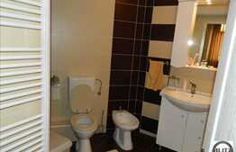 3 camere, 80 mp, terasa 12 mp, mobilat modern, zona strazii Ciocarliei!