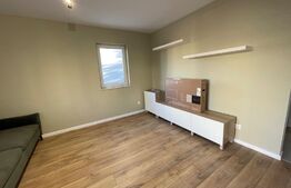 Apartament 2 camere, 55 mp, parcare, curte, cat friendly, zona Borhanci