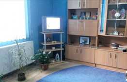 Garsoniera de vanzare, 29 mp utili, terasa 22 mp, zona strazii Horea!