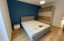 Apartament 2 camere, 55 mp, curte 100 mp, cat friendly, parcare, Borhanci