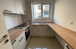 Apartament 2 camere, 55 mp, curte 100 mp, cat friendly, parcare, Borhanci