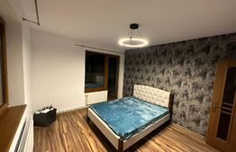 Casa individuala superba, 6 camere, 200mp utili, curte, 5 locuri de parcare, zona Buna Ziua 