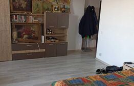 Apartament cu 1 camera, 40 m2, ansamblu Iris