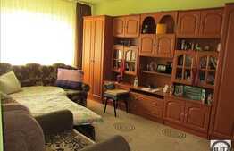 Apartament 2 camere, 50 mp utili, decomandat, zona strazii Dambovitei!