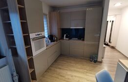 Apartament 3 camere, Lux, PLOPILOR, ROZELOR