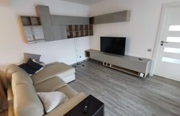 Apartament 3 camere, Lux, PLOPILOR, ROZELOR